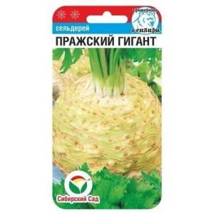 Сельдерей Пражский гигант 0,5г (Сиб Сад)