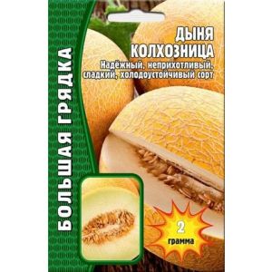 Дыня Колхозница 2 г (ГР)