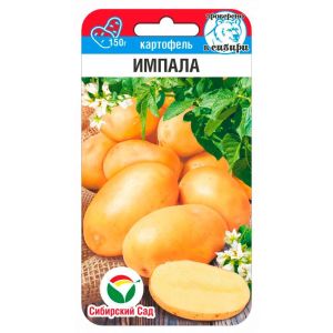 Картофель Импала 12шт (Сиб Сад)
