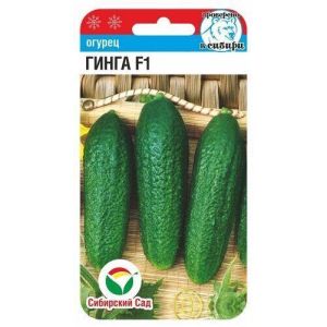 Огурец Гинга F1 7шт (Сиб сад)
