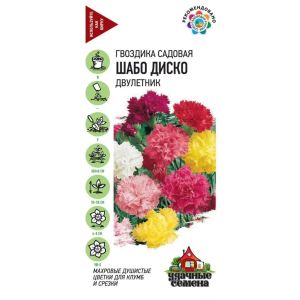 Гвоздика Шабо Диско, смесь 0,1 (ГШ)