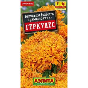 Бархатцы Геркулес прямостоячие 0,1г (Аэлита)