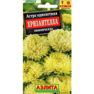 Астра Хризантелла лимончелло 15шт (Аэлита)