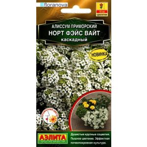 Алиссум Норт фэйс вайт каскадный 10шт (Аэлита)