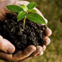 Всё об удобрениях