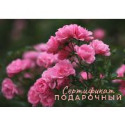 Подарочный сертификат