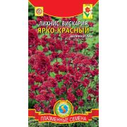 Лихнис вискария Ярко-красный 0,1г (Плазмас)