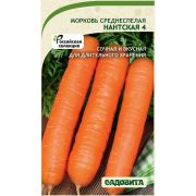 Морковь Нантская 4. 2гр Садовита