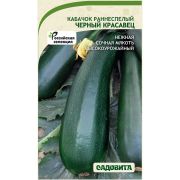 Кабачок Черный красавец 10шт Садовита