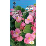 Бегония Птенчик F1 (вечноцветущая, светло-розовая)10 шт Седек