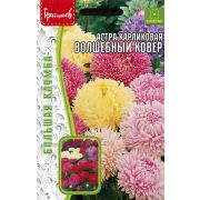 Астра Волшебный Ковёр карликовая 0,2 г (ГР)