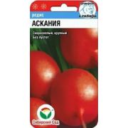 Редис Аскания 2г (Сиб сад)