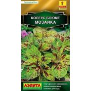 Колеус Блюме Визард Мозаика 5шт (А)