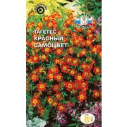 Тагетес Красный самоцвет 0,1г Седек
