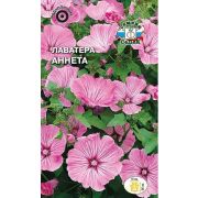 Лаватера Аннета трехмесячная (Седек)
