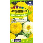 Хризантема Санта Моника увенчанная 0,3 гр. (Сем Алт)