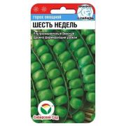 Горох Шесть недель 5г (Сиб Сад)