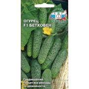 Огурец Бетховен F1 8с (Седек)