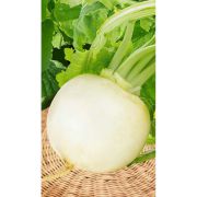 Редька Зимняя круглая белая 2гр Садовита