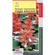 Сальвия карликовая Рэдди Биколор (красно-белая) (Плазмас)