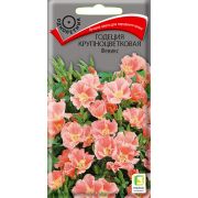 Годеция крупноцветковая Феникс 0,2гр (Поиск)