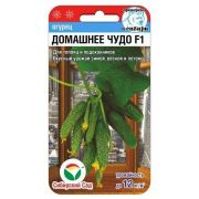 Огурец Домашнее чудо F1 7шт (Сиб Сад)