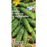 Огурец Мечта Огородника F1 0,3г (Седек)