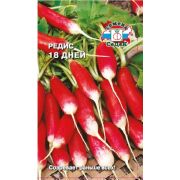 Редис 18 Дней 3г (Седек)