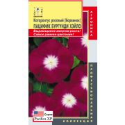 Катарантус розовый (Барвинок) Пацифик Бургунди Хэйло Плазмас