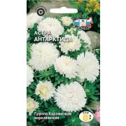 Астра Антарктида 0,2г (Седек)