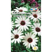 Диморфотека Снегурочка (выемчатая, белая) 0,2г Седек