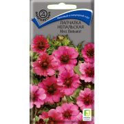 Лапчатка непальская Мисс Вильмот 0,1гр (Поиск)