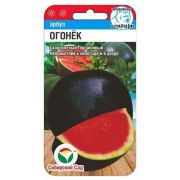 Арбуз Огонек 5шт (Сиб Сад)