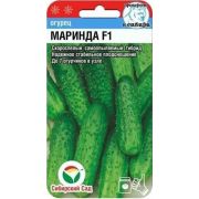 Огурец Маринда F1 7 шт (Сиб сад)