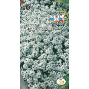 Алиссум Снежный ковер (морской) 0,1г (Седек)