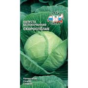Капуста Скороспелая 0,5г (Седек)