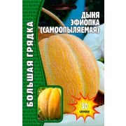Дыня Эфиопка (самоопыляемая) 30шт (ГР)