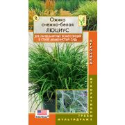 Ожика снежно-белая Люциус 3шт Плазмас