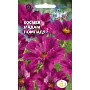 Космея Мадам Помпадур 0,04г Седек