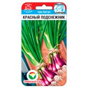 Лук Батун Красный подснежник 0,5гр (Сиб Сад)