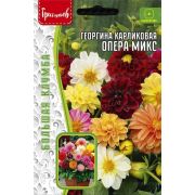 Георгина Опера микс карликовая 15 шт (ГР)