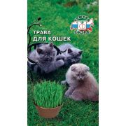 Трава для кошек 10 гр (Седек)