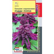 Сальвия карликовая (серия Reddy) Рэдди Пурпл 10шт (Плазмас)