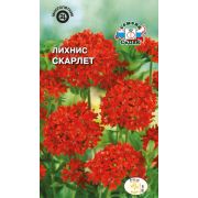 Лихнис Скарлет (халцедонский, красный) 0,25г Седек