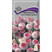 Маргаритка Тассо стробери энд крим 20шт (Поиск)