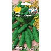 Огурец Диво Дивное F1 0,2гр Седек