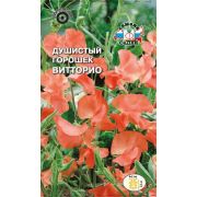Душистый Горошек Витторио 1г Седек