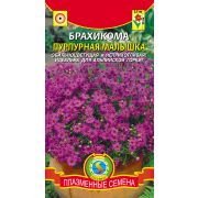 Брахикома Пурпурная малышка 0,5г (Плазсам)