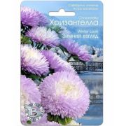 Астра Хризантелла Зимний взгляд 30шт (БиоТех)