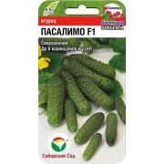 Огурец Пасалимо F1 5шт (Сиб Сад)